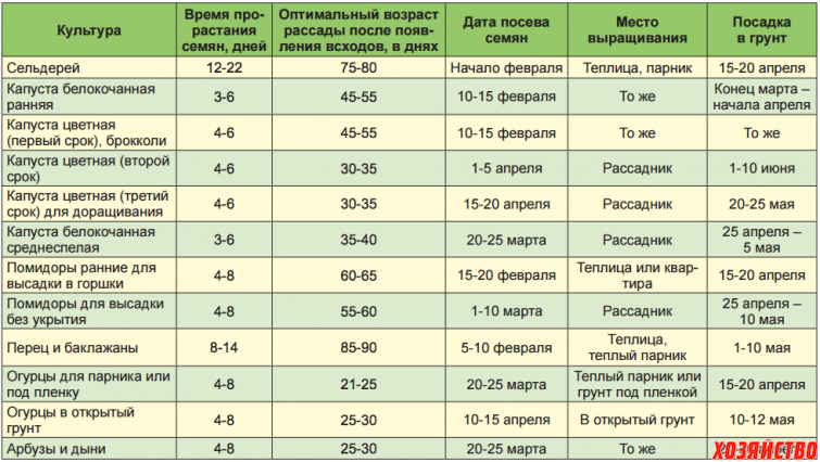 Томаты для сибири для открытого грунта лучшие сорта, описание
