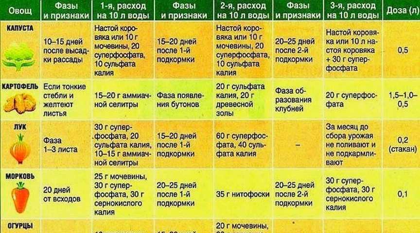 Как подготовить семена помидор к посадке на рассаду, обработка и замачивание – дачные дела