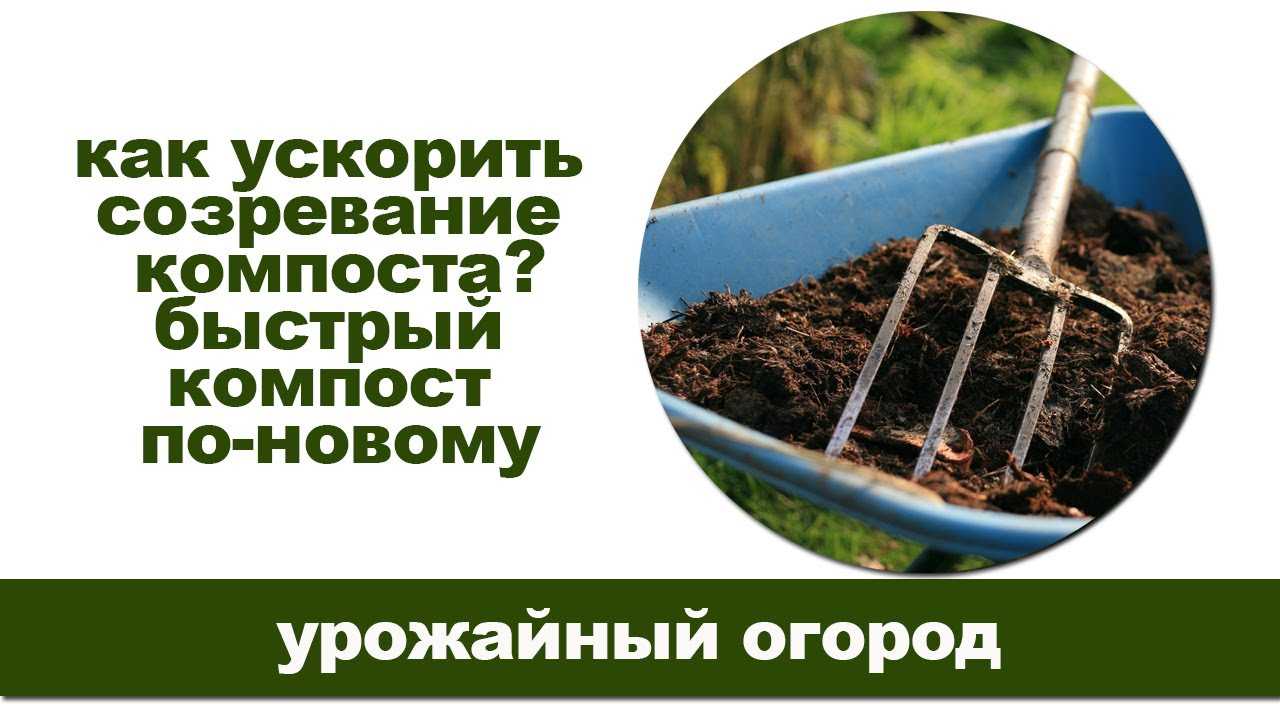 Компостная куча: как ускорить созревание, чем полить для быстрого перегнивания