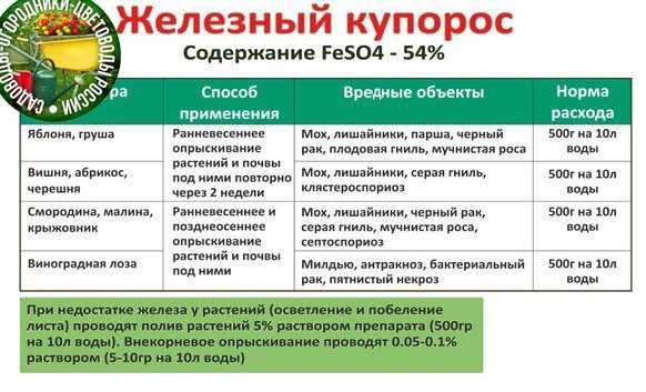 Железный купорос осенью для обработки плодовых деревьев и кустарников
