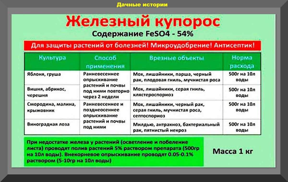 Медный купорос для лечения и защиты растений