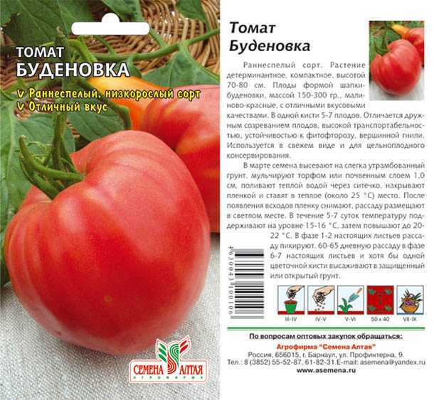 Томат буденовка: особенности сорта
