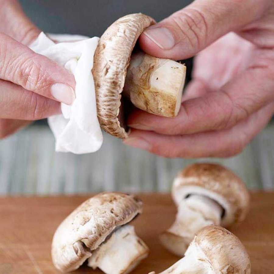 Можно ли из покупных шампиньонов получить качественный мицелий