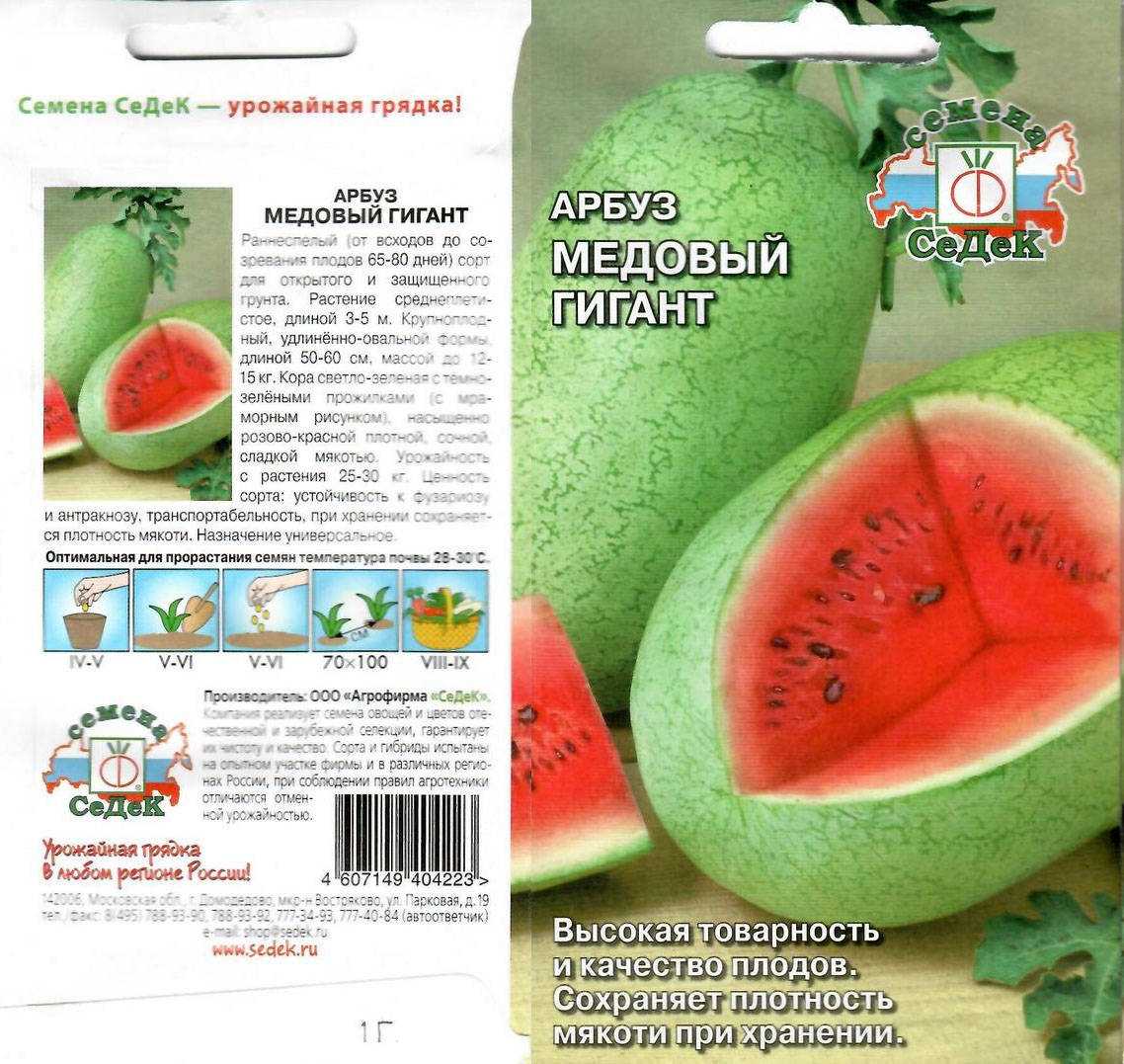Сорта скороспелых арбузов: для московской области, сибири и средней полосы