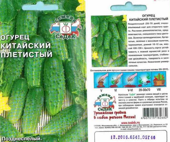 Огурцы китайское чудо: ботаническое описание и характеристика, агротехника выращивания и уход, фото