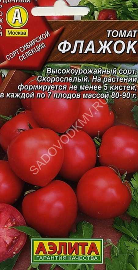 Томат цифомандра отзывы фото