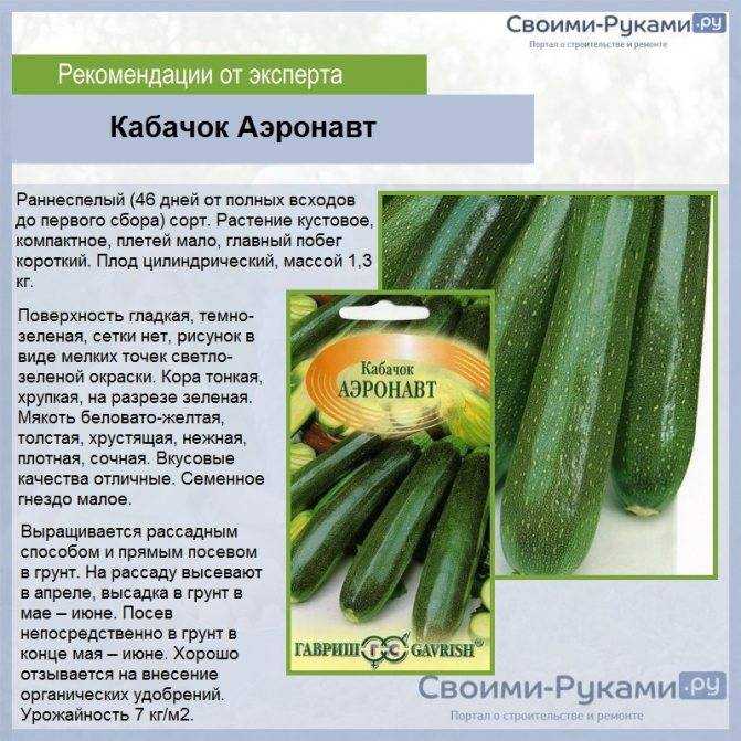Лучшие сорта кабачков: топ-17 самых урожайных и вкусных, их описания и характеристики