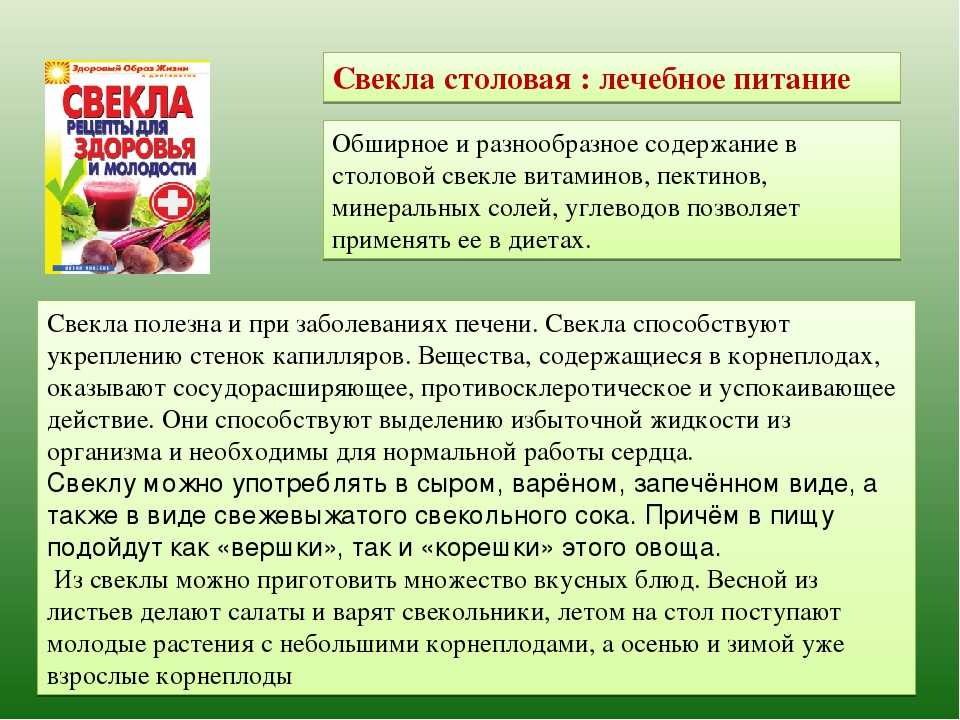 Паразитизм: что это такое в биологии и экологии, примеры взаимоотношений среди животных и растений