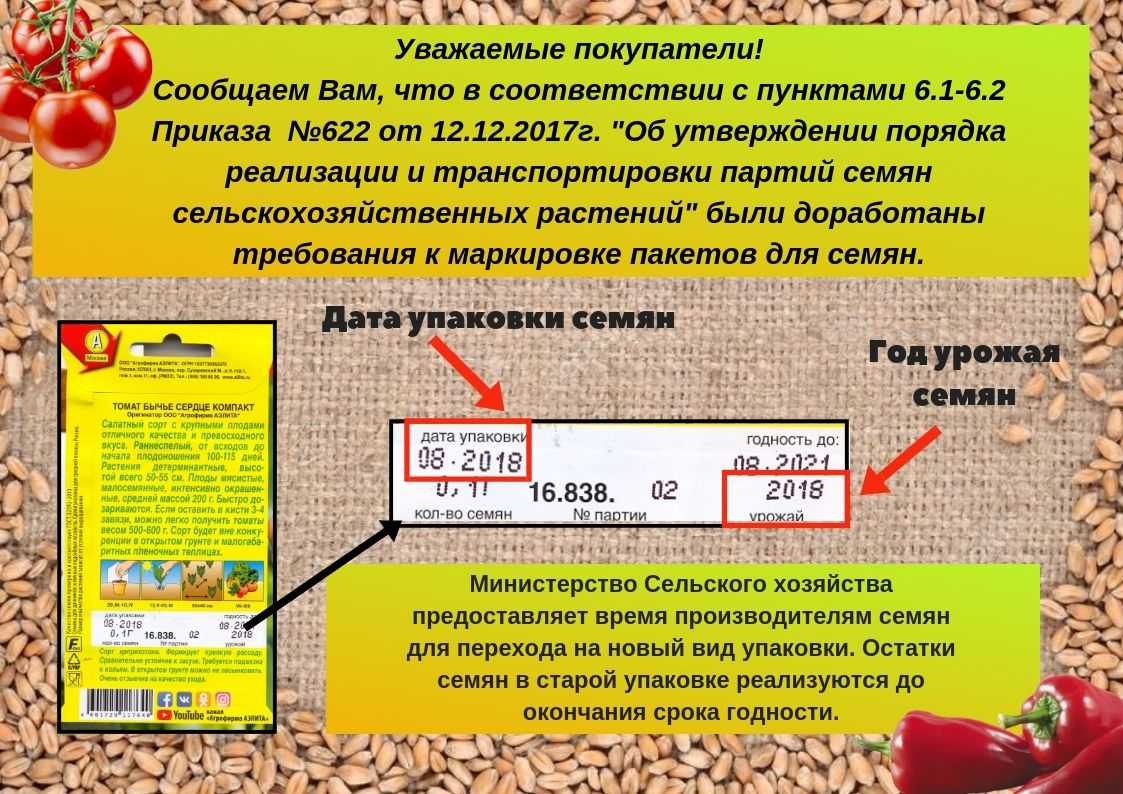 Почему рассаду некоторых растений нужно проращивать в темноте, а некоторых при свете
