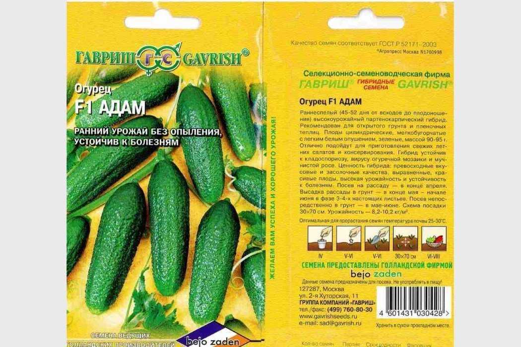 Огурец гуннар f1: описание сорта, фото, преимущества и недостатки