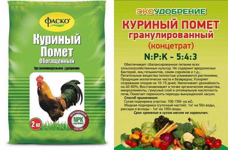 Подкормка куриным пометом овощей: рецепты, нормы