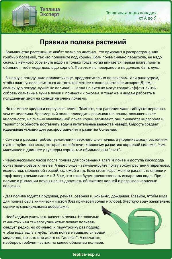 Народные методы полива помидоров и огурцов в теплицах на время вашего отсутствия на даче
