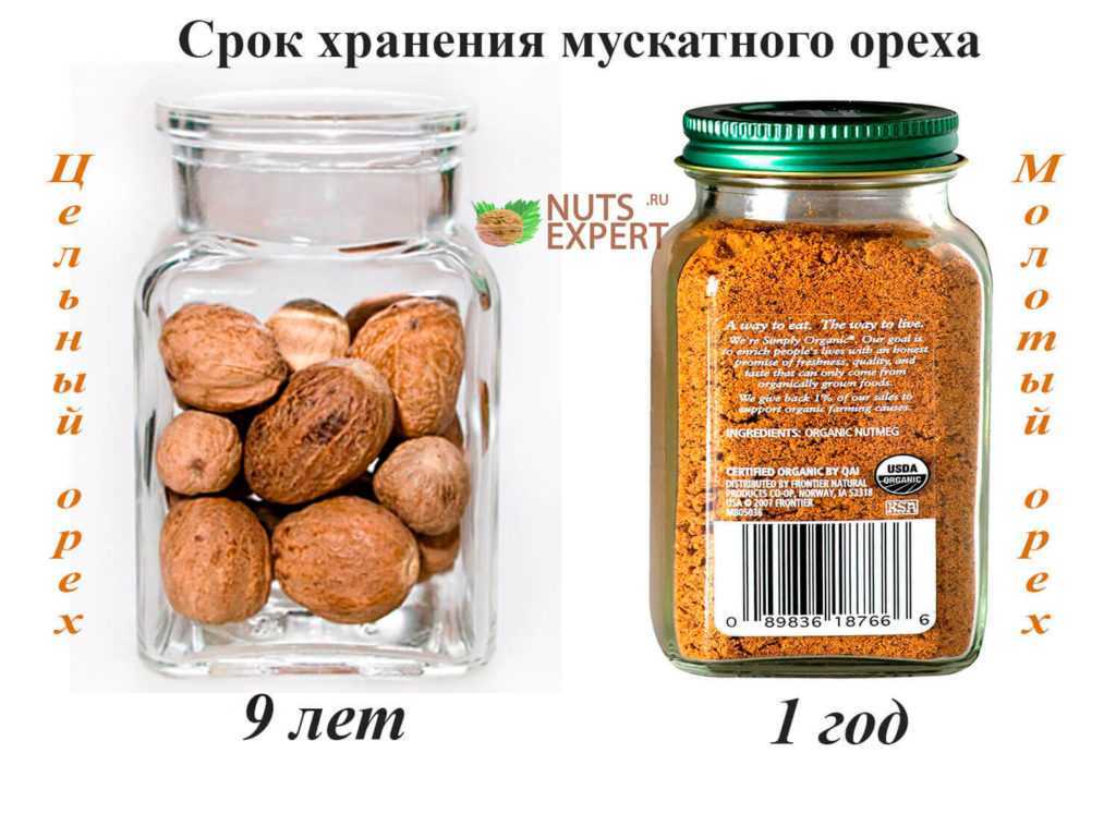 Как хранить грецкие орехи в домашних условиях: очищенные и в скорлупе