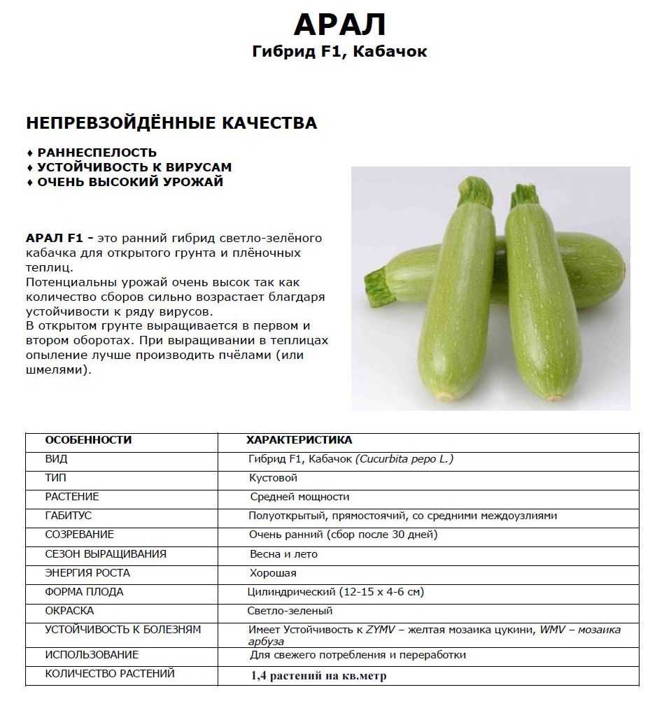 ✅ круглые кабачки: сорта, фото, бывают ли - tehnoyug.com