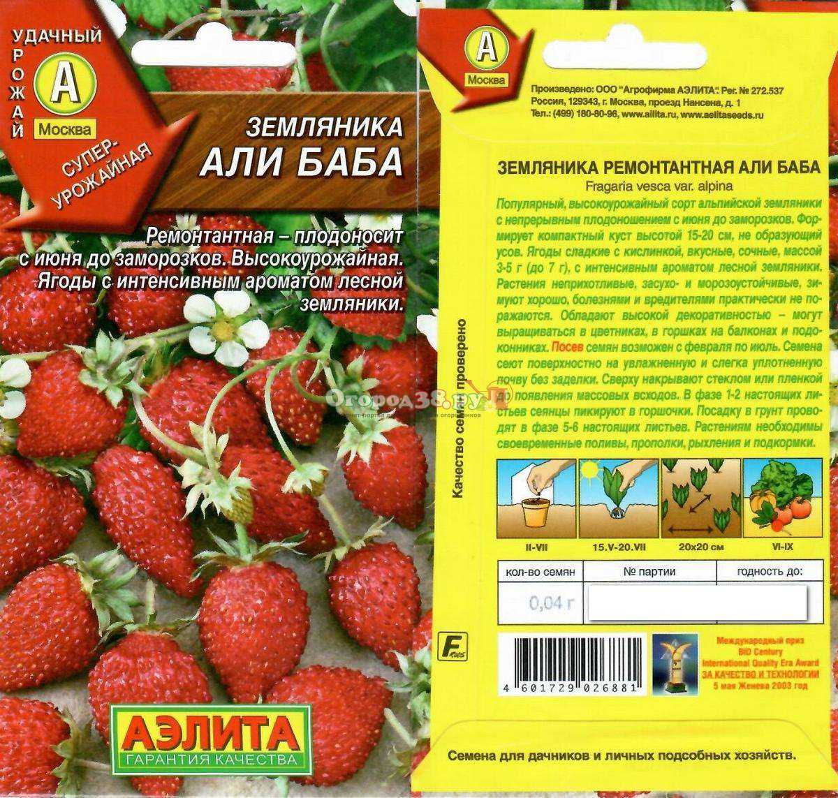 Земляника али-баба: описание сорта, фото, отзывы