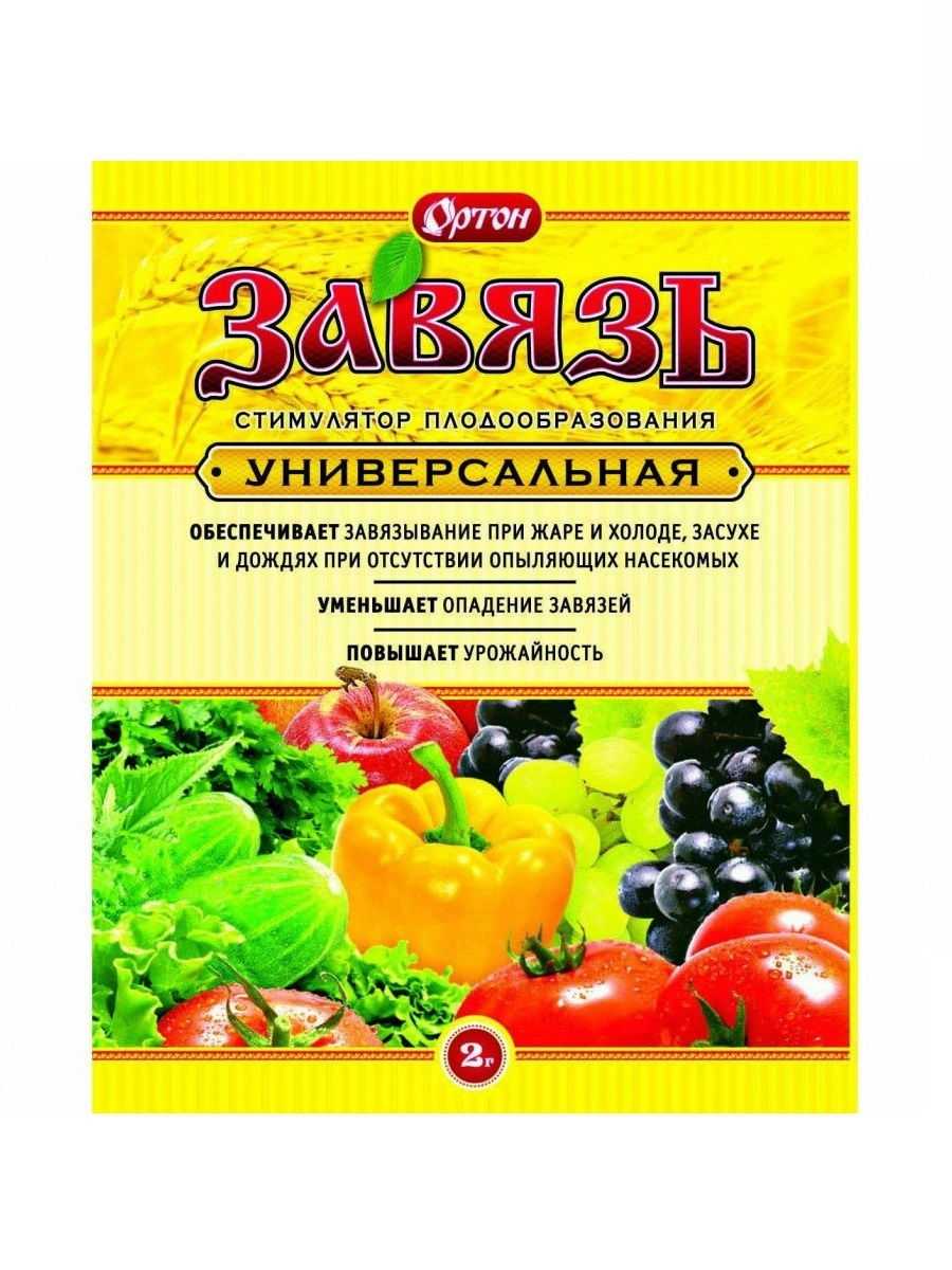 Что делать с помидорами, если они цветут, а завязи нет: чем подкормить и опрыскать