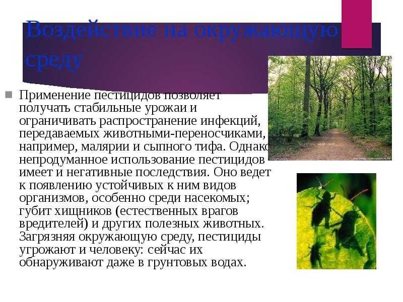 Можно ли использовать пищевую соль на даче?