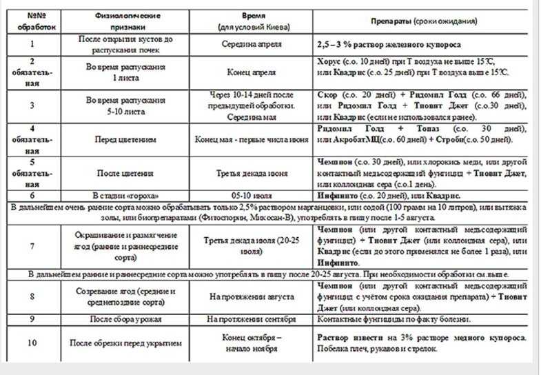 Обработка винограда весной от болезней и вредителей: сроки и правила проведения весенних работ