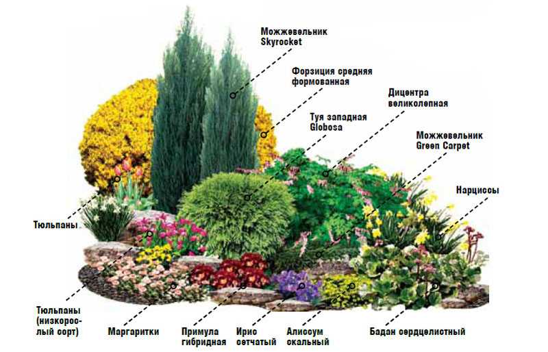 Осенние цветы в саду: как превратить ваш сад в райский уголок