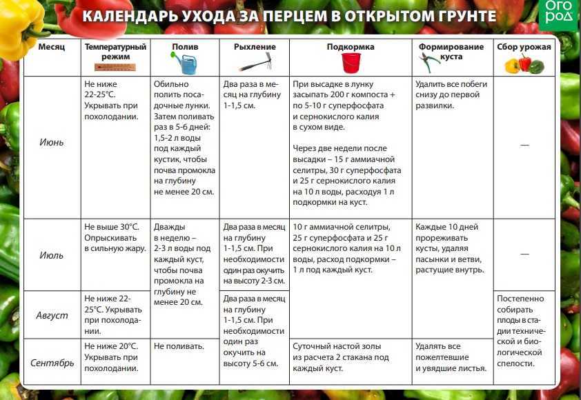 Как подкармливать рассаду перца весной