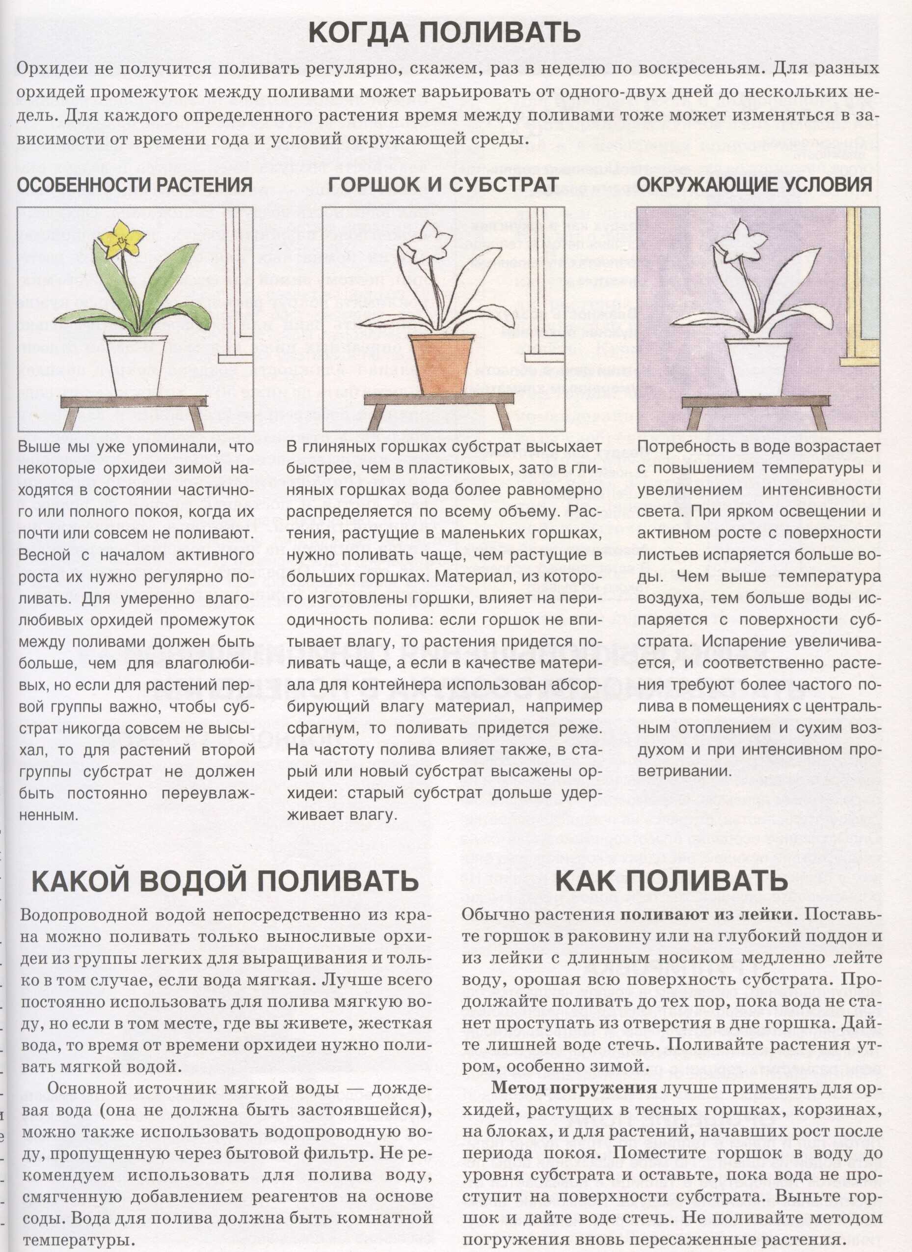 Как писать романтику: любовь с первого взгляда — рина ушакова