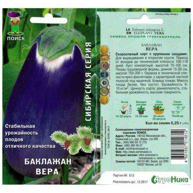 Баклажан вера (vera): описание сорта, фото, отзывы, урожайность, правила выращивания
