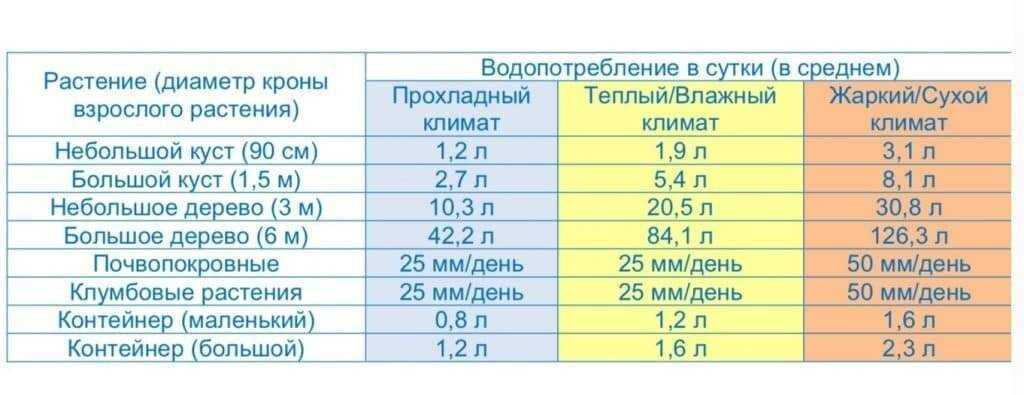 Полив огурцов в открытом грунте и в теплице: как часто, правила, схемы