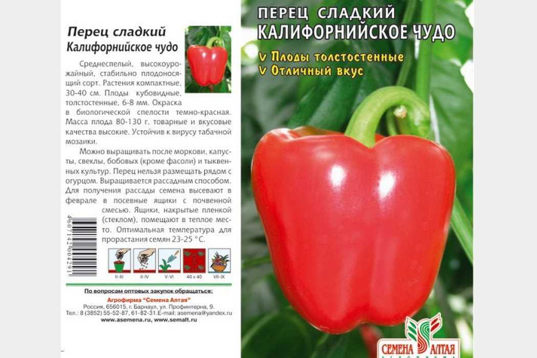 Правила выращивания сладкого перца Калифорнийское чудо Особенности сорта, тонкости посадки и ухода Типичные болезни и вредители, меры профилактики Отзывы