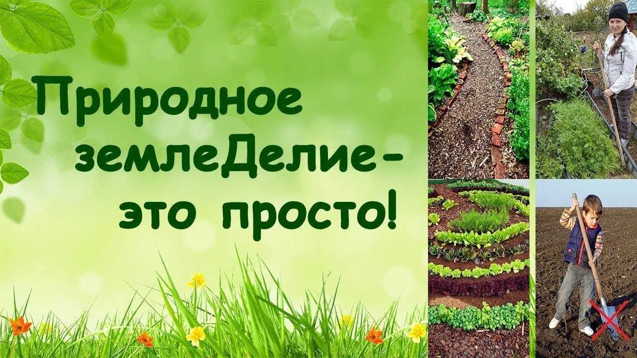 Натуральные удобрения для огорода и комнатных цветов: описание и их применение | топ-20 подкормок | (фото & видео) +отзывы