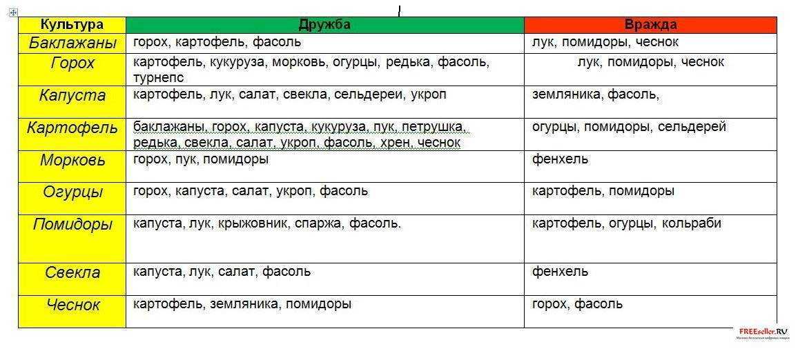 Нюансы севооборота. что можно сажать после разных видов лука на следующий год, а также рядом с культурой?