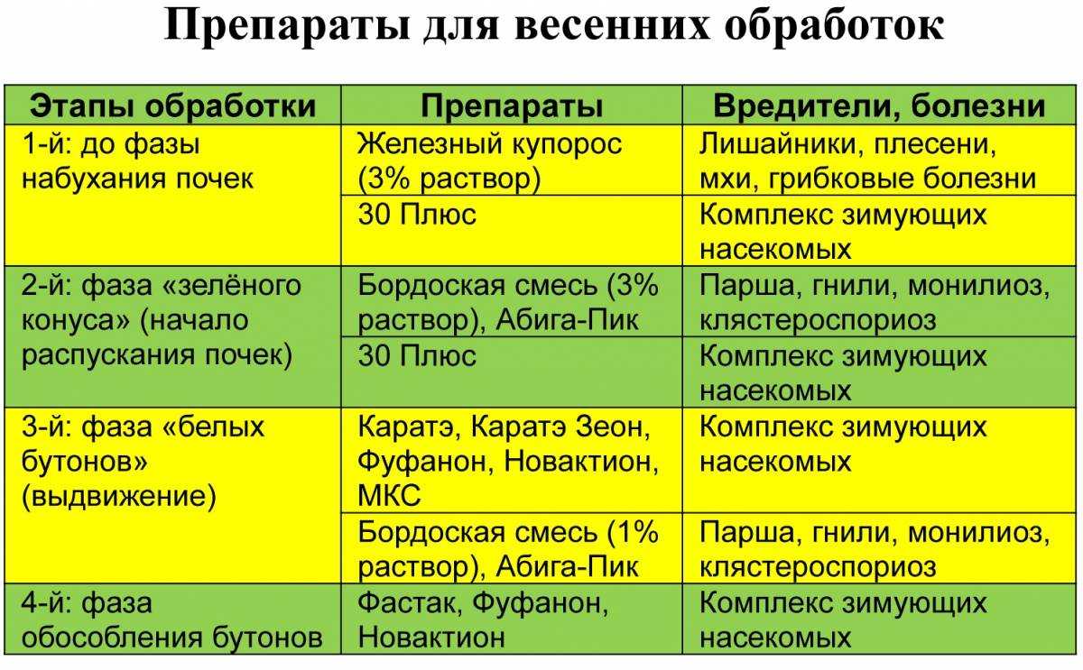 Чем и как подкармливать плодово-ягодные деревья