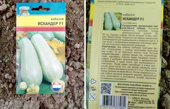 27 лучших сортов кабачков цукини и особенности выращивания в открытом грунте