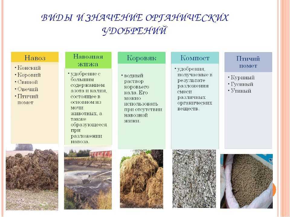 Продукты питания богатые фосфором