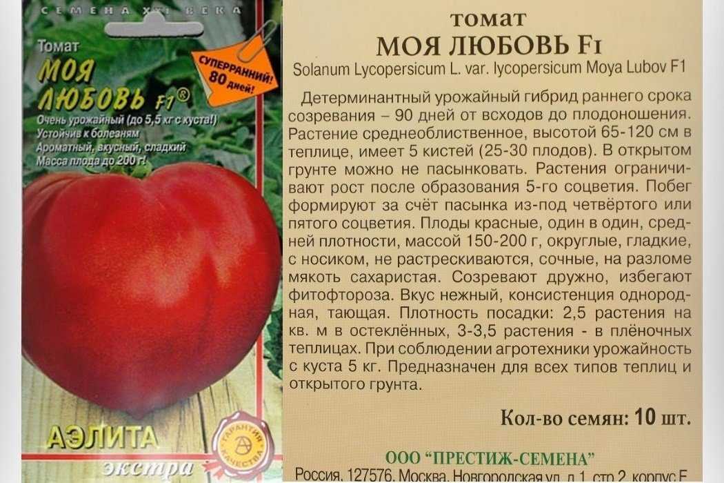 Комнатные помидоры: лучшие сорта для выращивания на подоконнике
