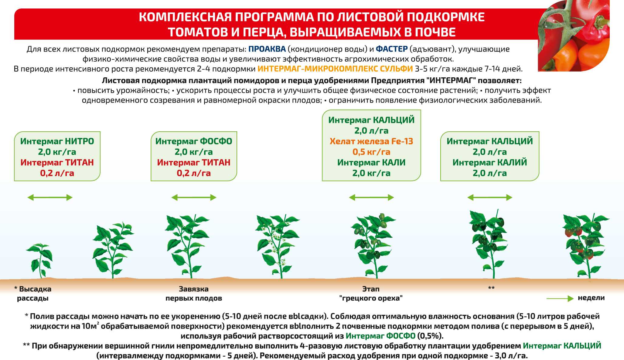 Подкормка овощных культур - основные правила | cельхозпортал