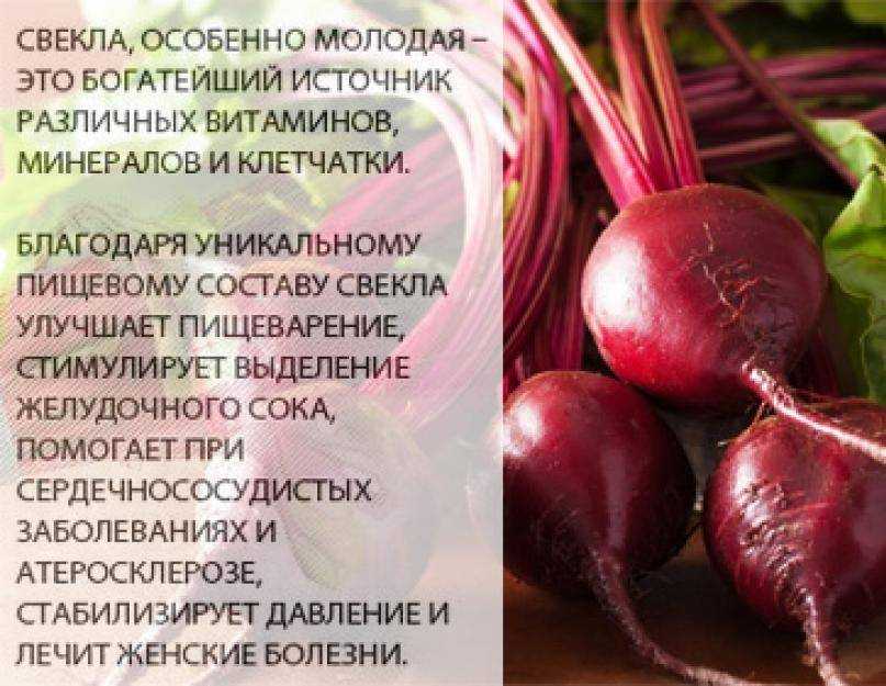 Как растет свекла: выращивание и уход для крупного урожая