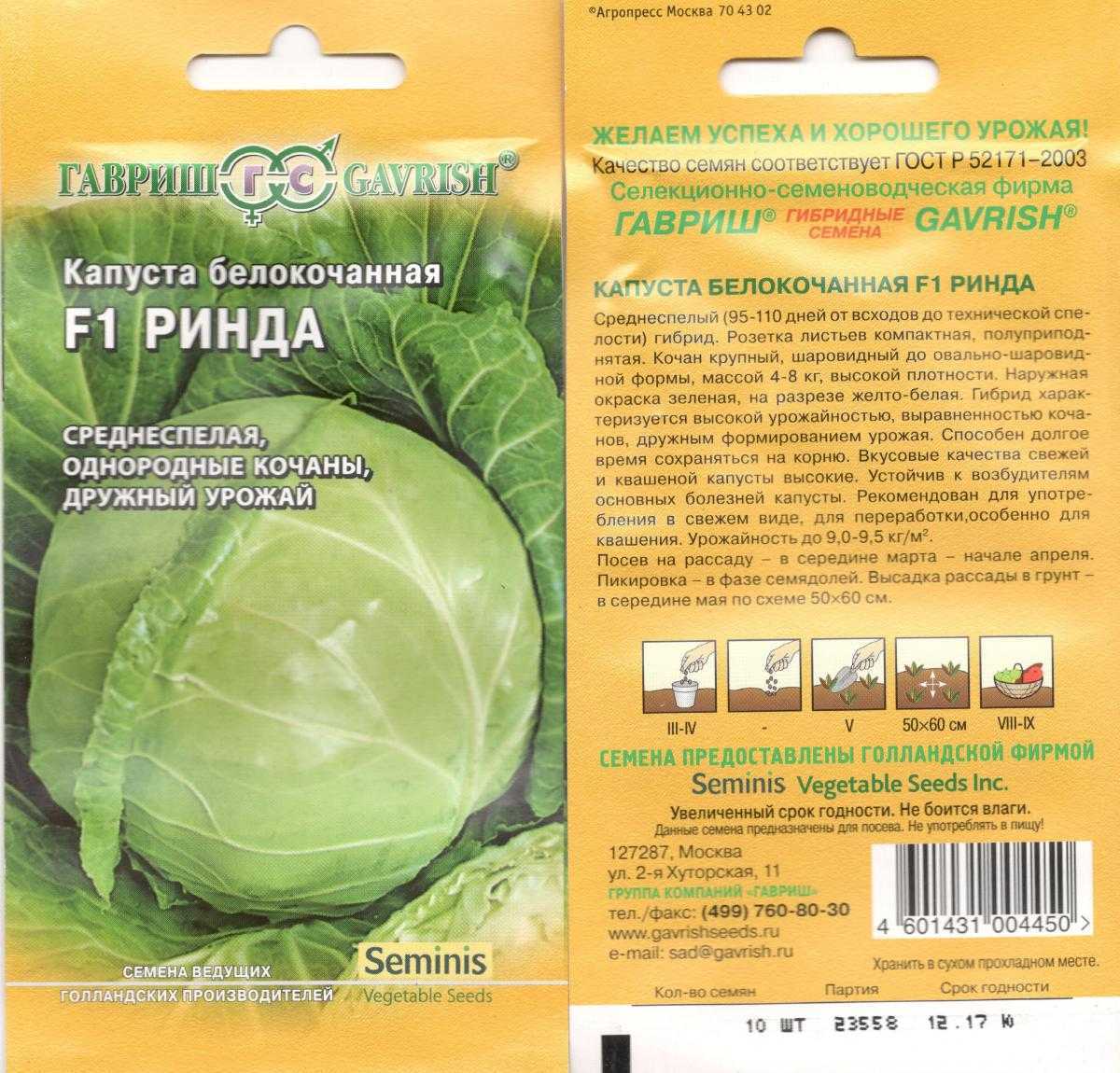 Капуста ринда: описание и характеристика сорта, достоинства и недостатки, особенности посадки и ухода + фото и отзывы