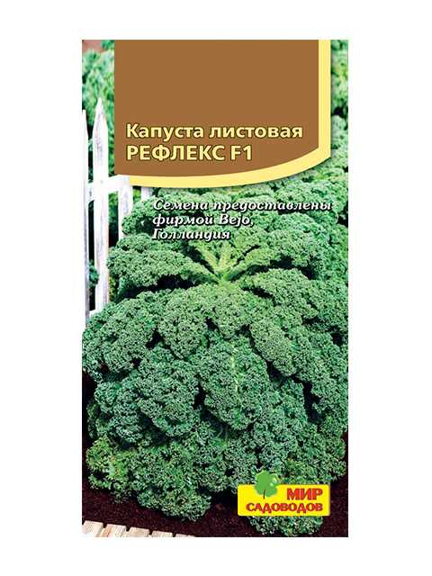 Листовая капуста: 10 лучших сортов с описанием и характеристиками, выращивание с фото