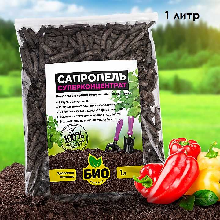 Сапропель - природное удобрение: ценность, свойства, применение