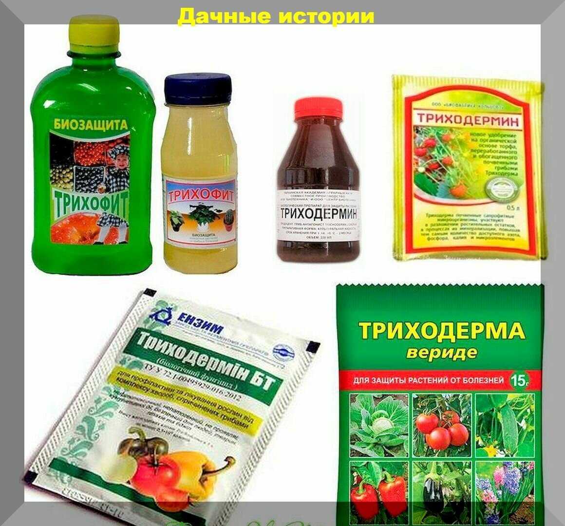 Триходерма вериде: инструкция по применению биопрепарата, нормы расхода