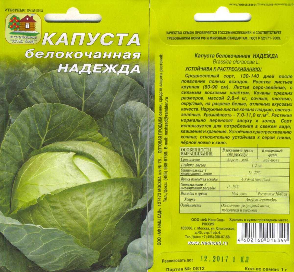 Капуста подарок - описание сорта, правила выращивания, созревание