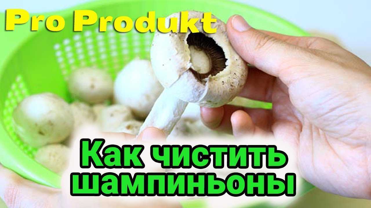 Как чистить шампиньоны и нужно ли это делать?