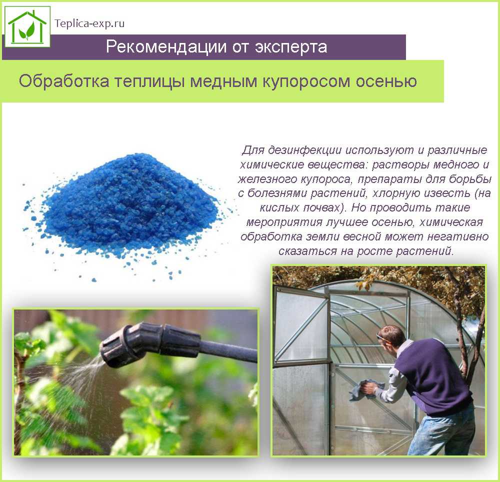 Раствор медного купороса: как развести, применение в саду, теплице