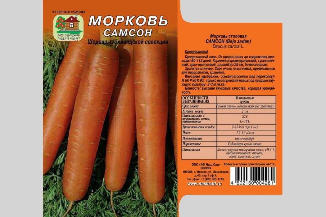 Шантанэ: описание сорта моркови роял, характеристики, агротехника