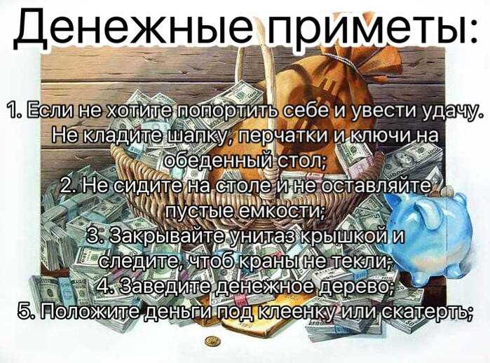 Денежное дерево или толстянка: приметы и суеверия