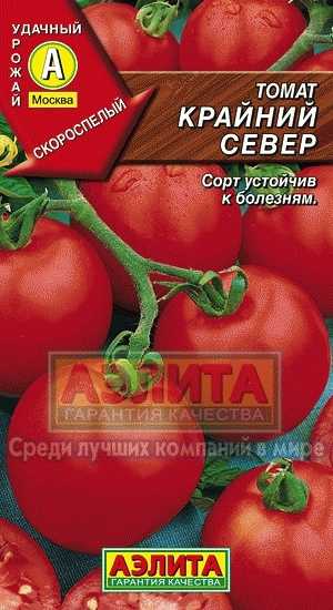 Томат "крайний север": характеристика сорта и описание особенностей выращивания
