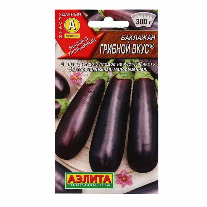 Баклажан вкус грибов — характеристика и описание сорта, отзывы, посадка и уход