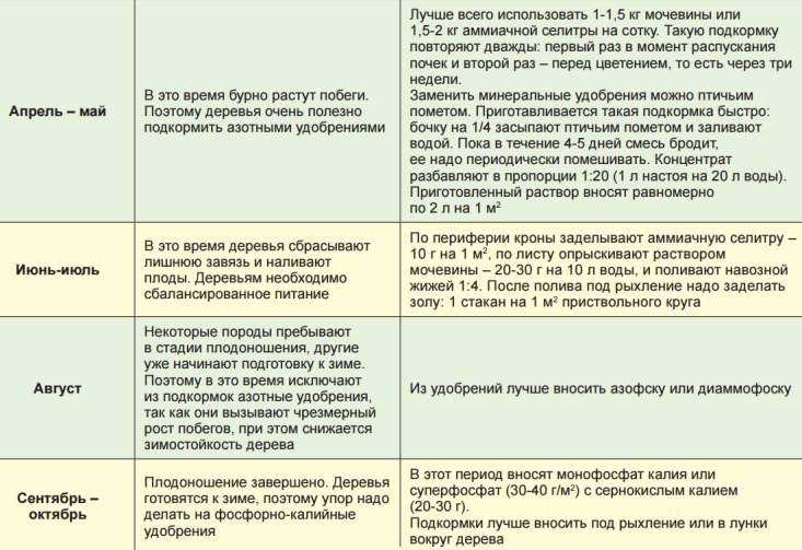 Удобрение плодовых деревьев и ягодных кустарников весной: секреты эффективных подкормок