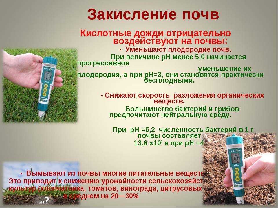 Древесная зола в качестве раскислителя почвы, фунгицида и инсектицида на supersadovnik.ru