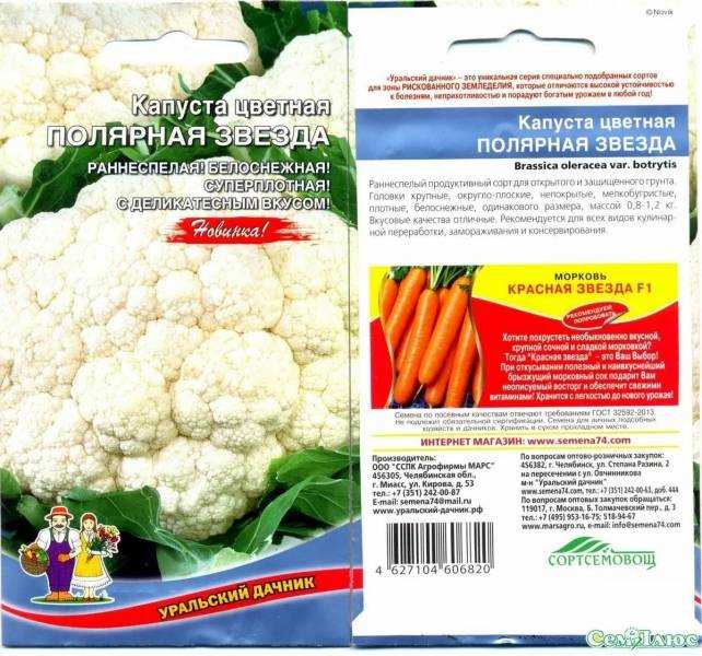 Цветная капуста: сорта, посадка, выращивание и уход, хранение